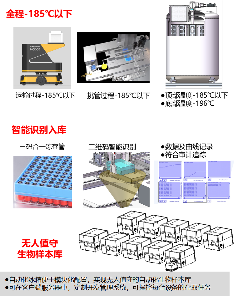 自动化液氮罐2.png